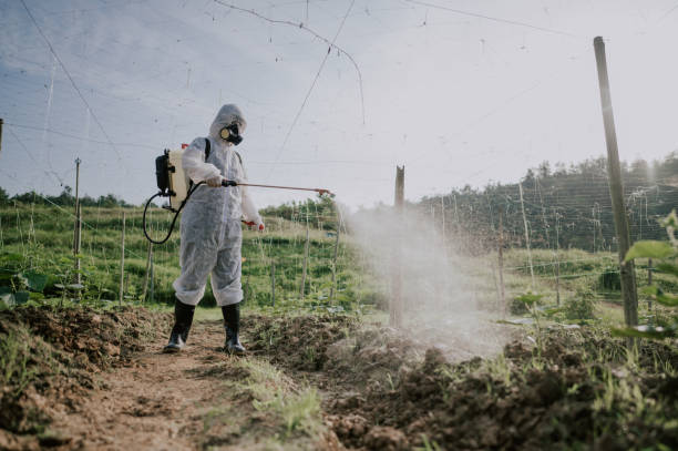 Best Pest Control for Homes  in Nome, AK