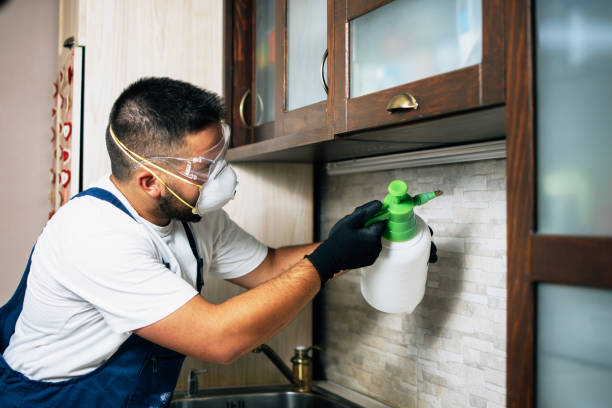 Professional Pest Control in Nome, AK