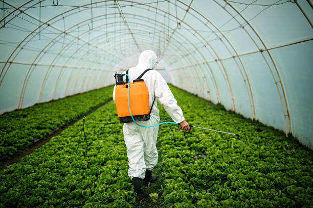 Best Affordable Pest Control Services  in Nome, AK