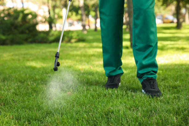 Best Local Pest Control Services  in Nome, AK