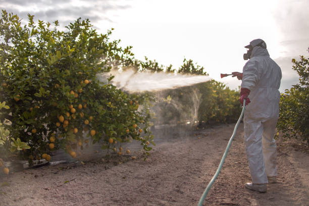 Best Best Pest Control Near Me  in Nome, AK