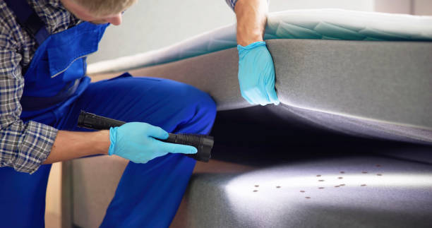 Best Mosquito Control Services  in Nome, AK