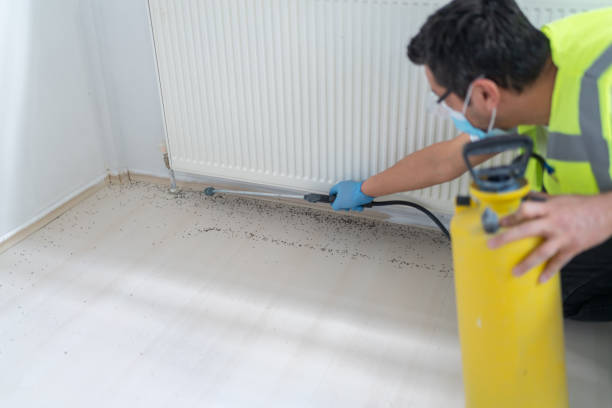 Best Pest Prevention Services  in Nome, AK
